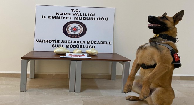  Narkotik köpek Odin uyuşturucuya geçit vermedi